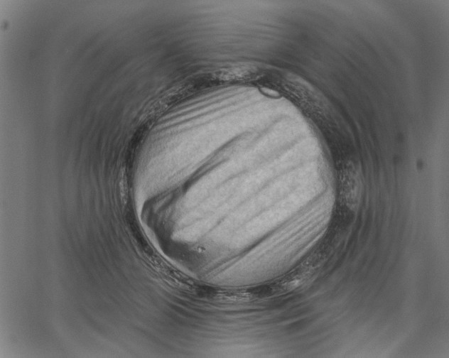 X0000067510510200604281612