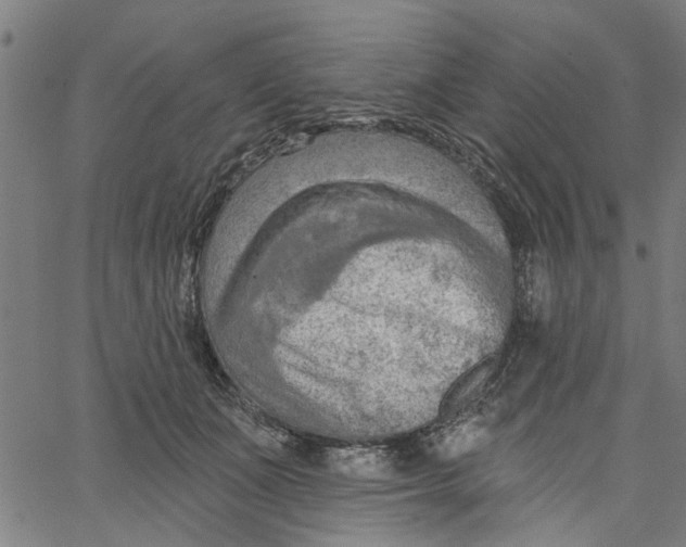 X0000067510511200604281612