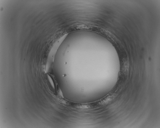 X0000067510513200604281612