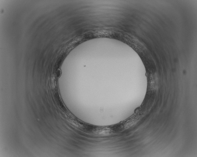 X0000067510514200604281612