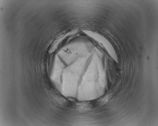 X0000067510516200604281612