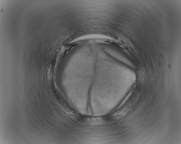 X0000067510517200604281612