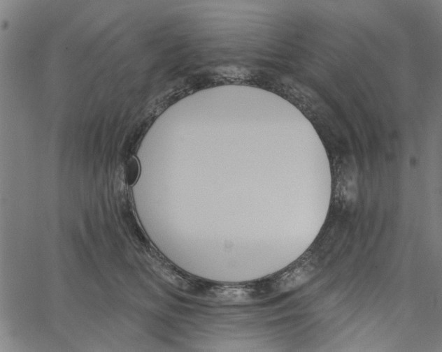 X0000067510518200604281612