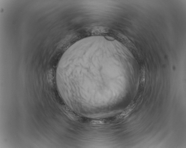 X0000067510519200604281612