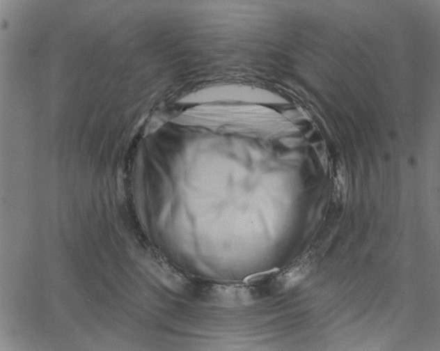 X0000067510520200604281611