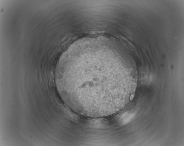 X0000067510523200604281611