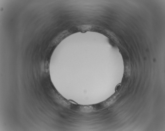 X0000067510525200604281611