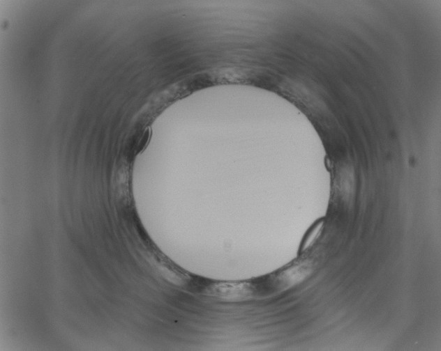 X0000067510526200604281611