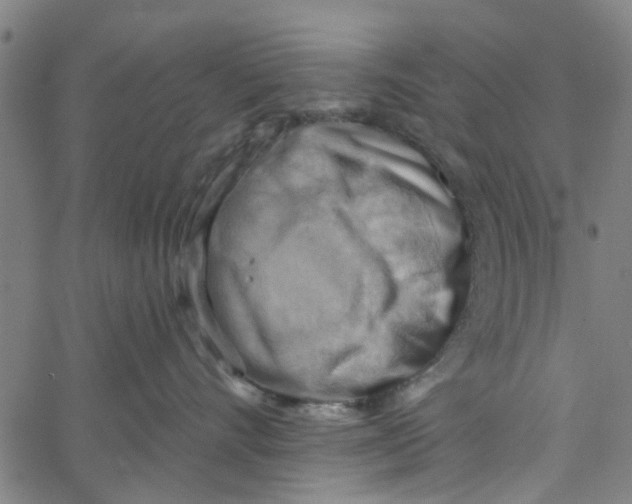 X0000067510528200604281611