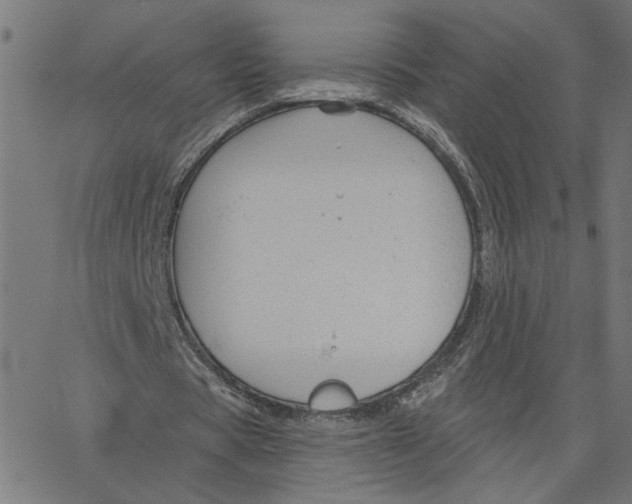 X0000067510529200604281611