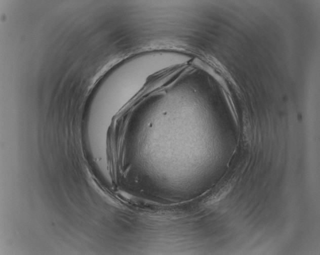 X0000067510530200604281611