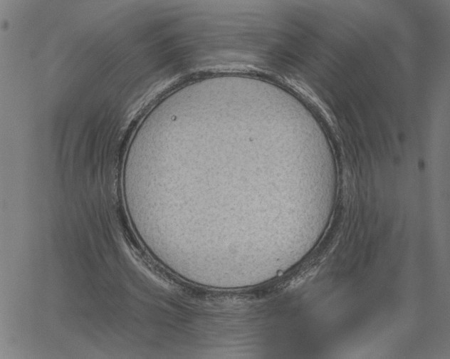 X0000067510533200604281611