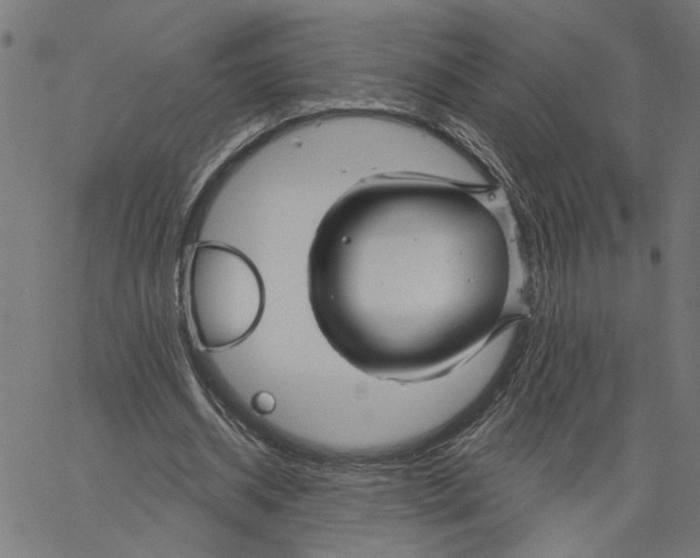 X0000067510534200604281611