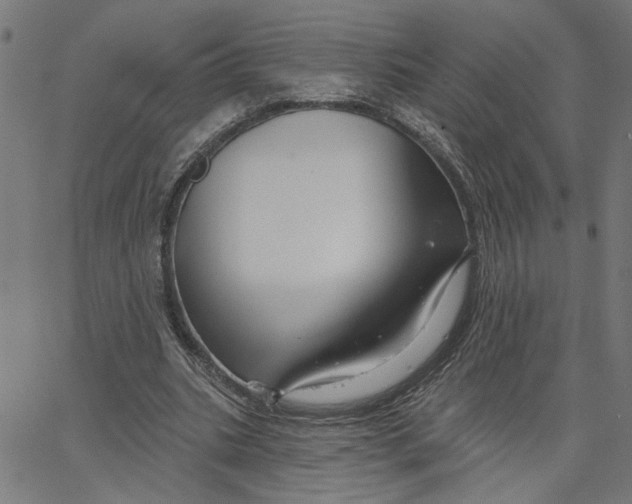 X0000067510535200604281611