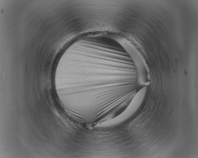 X0000067510536200604281611