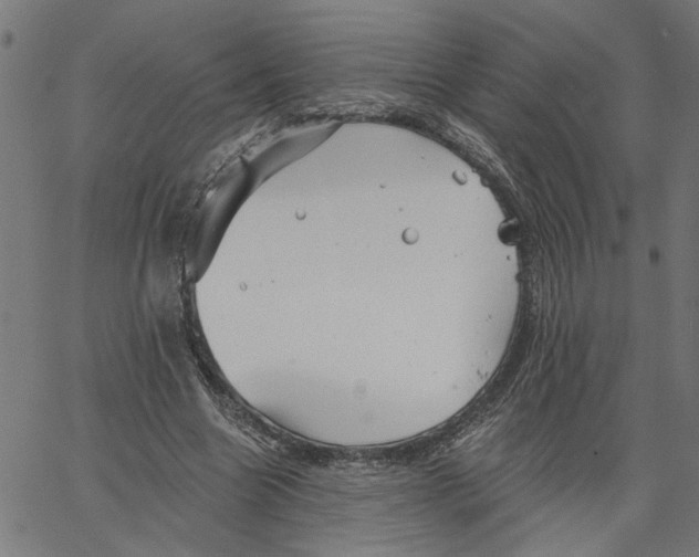 X0000067510538200604281611