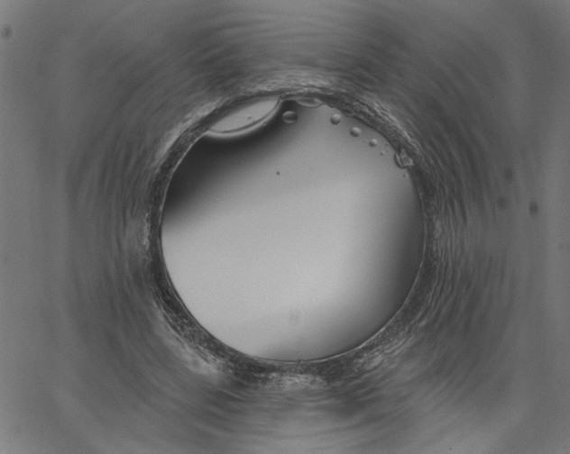 X0000067510539200604281611