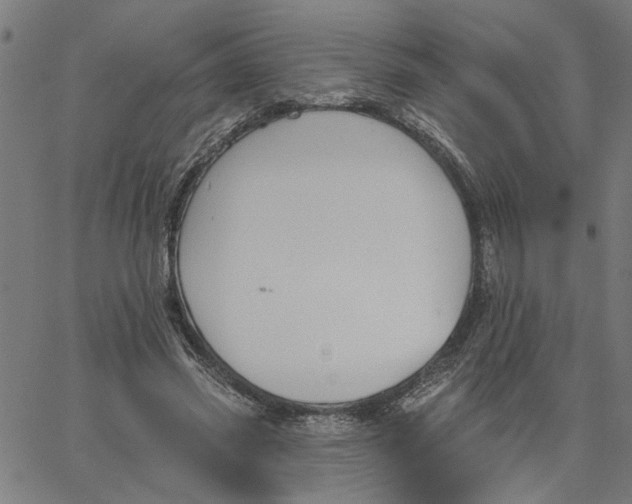 X0000067510541200604281611