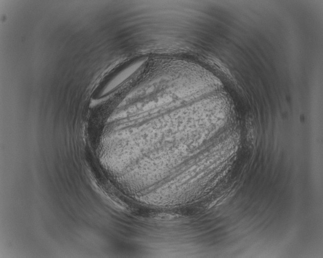 X0000067510542200604281611