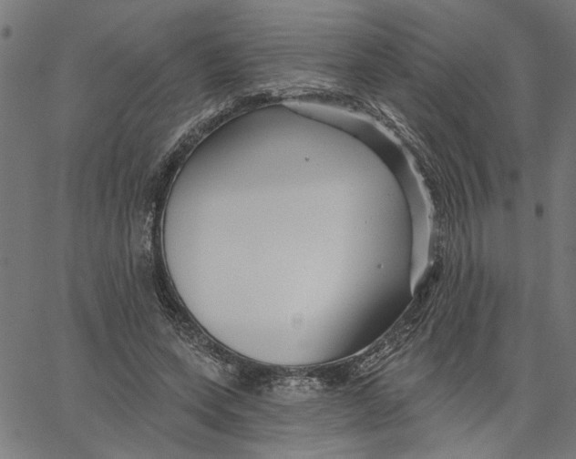 X0000067510543200604281611