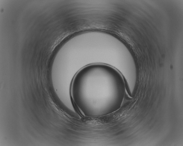 X0000067510544200604281611