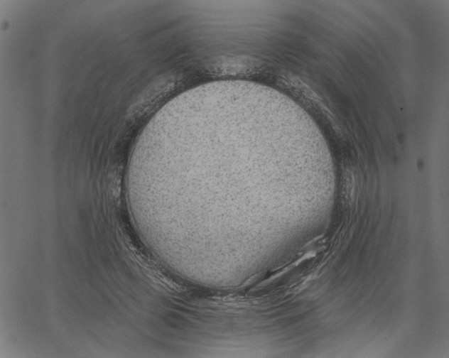 X0000067510545200604281611