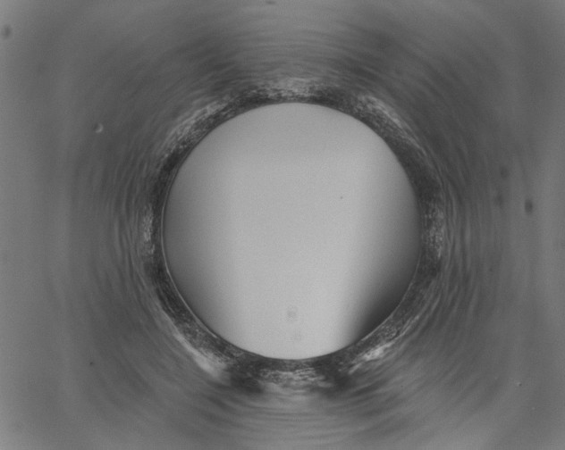 X0000067510548200604281611