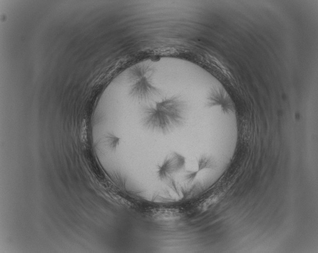 X0000067510549200604281611