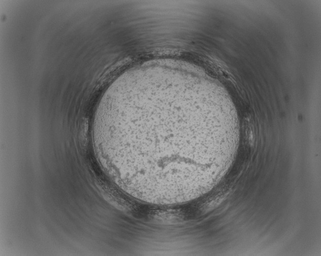 X0000067510550200604281611