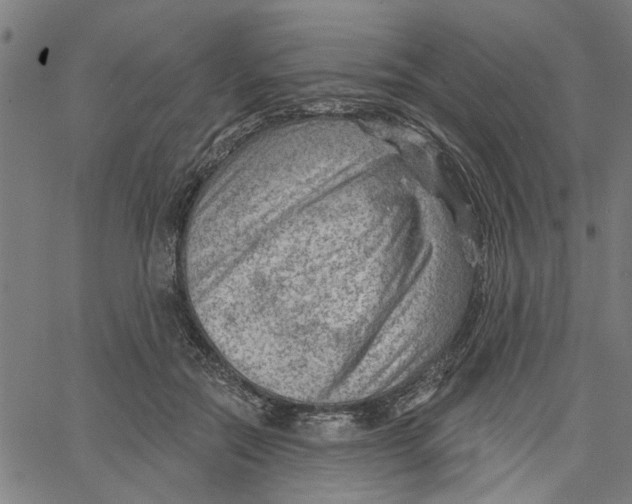 X0000067510554200604281611