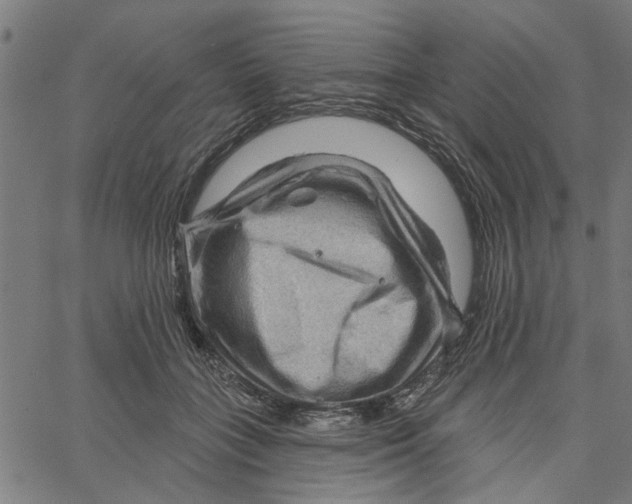 X0000067510555200604281611