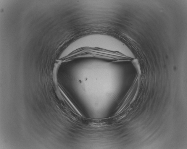 X0000067510556200604281611