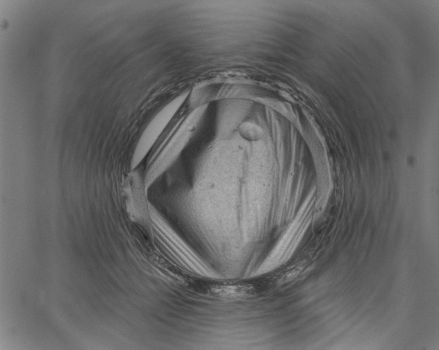 X0000067510558200604281611