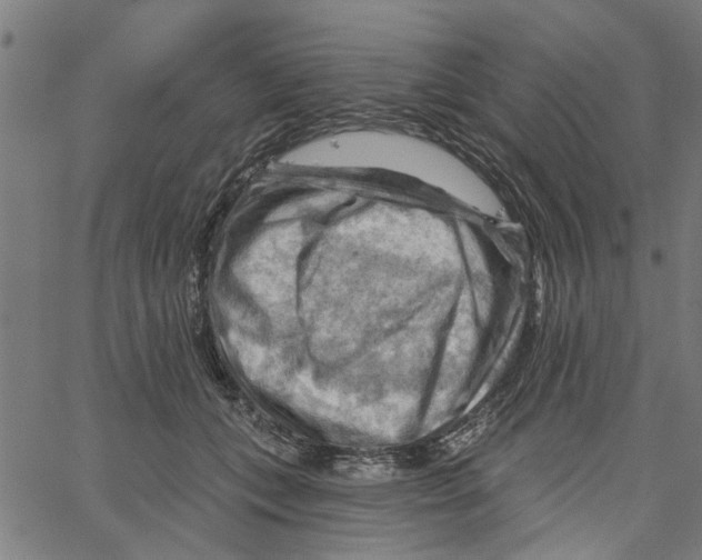 X0000067510559200604281611