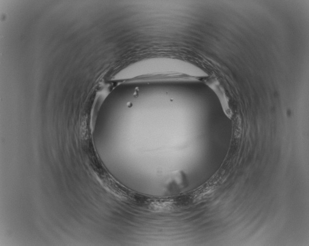 X0000067510560200604281611