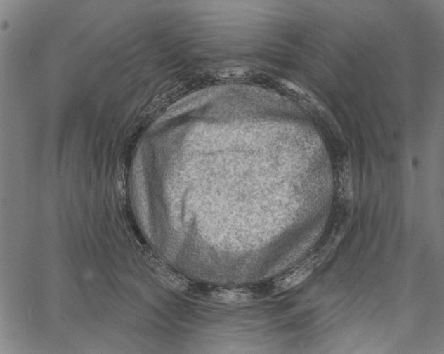 X0000067510561200604281611