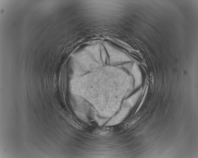 X0000067510563200604281611