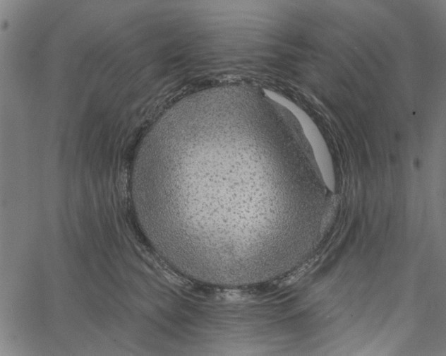 X0000067510565200604281611