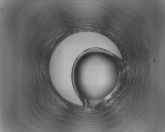 X0000067510566200604281611