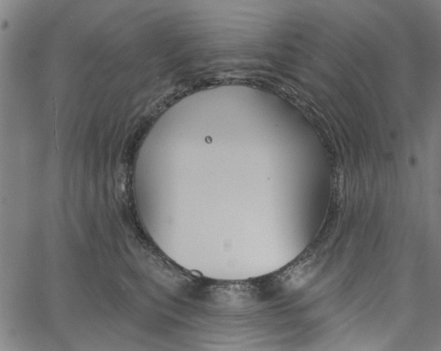 X0000067510567200604281611