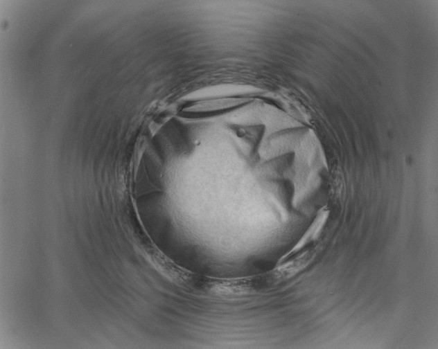 X0000067510568200604281611