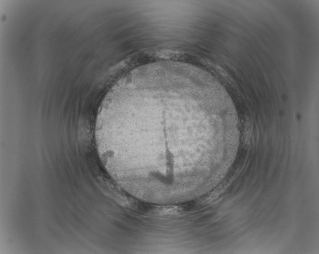 X0000067510569200604281611