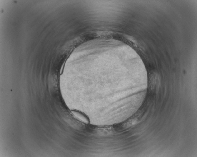 X0000067510571200604281611