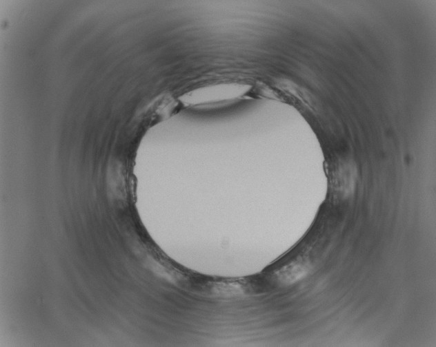 X0000067510572200604281611