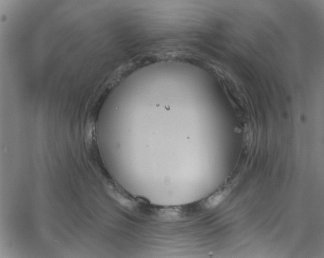 X0000067510574200604281611