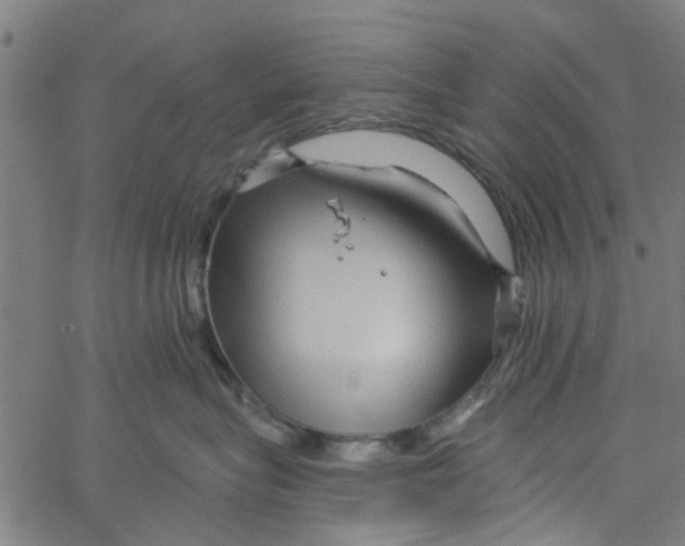 X0000067510575200604281611