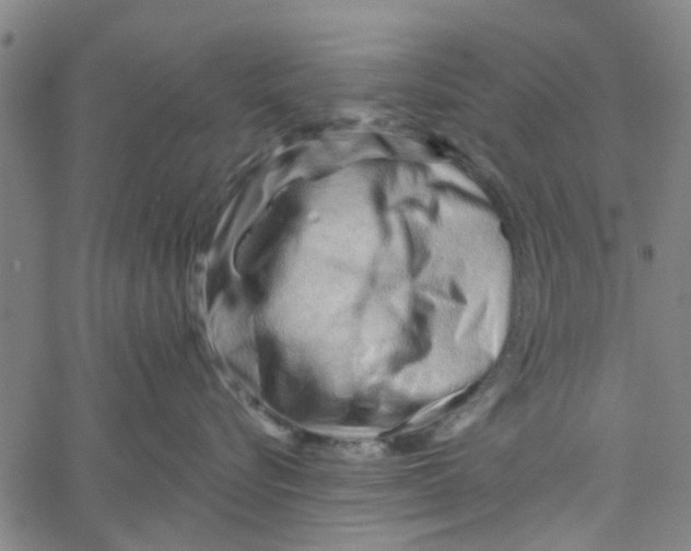 X0000067510576200604281611