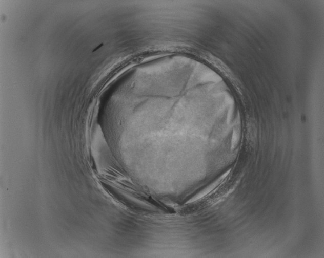 X0000067510577200604281611