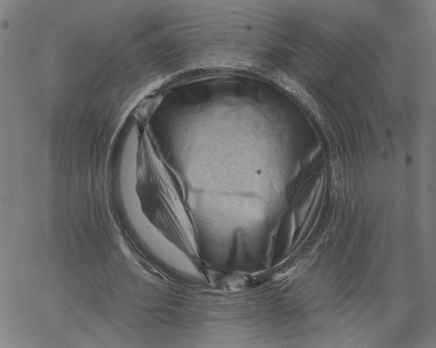 X0000067510580200604281611