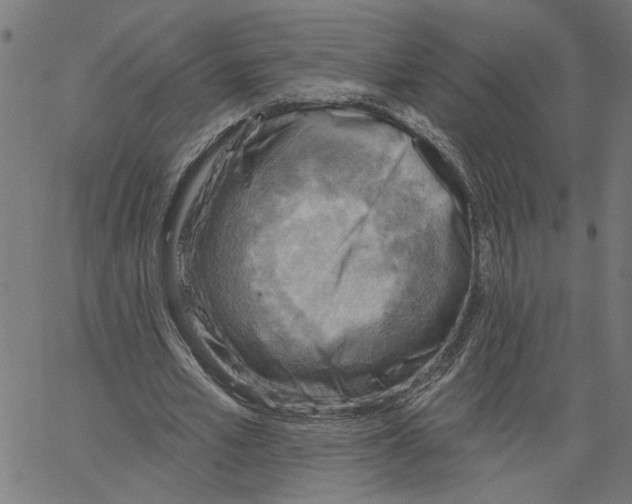 X0000067510581200604281611